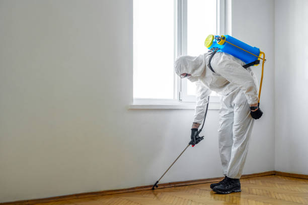 Best Wildlife Control Services  in Camden, SC