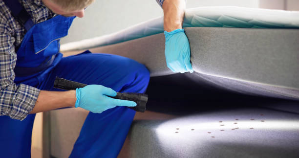 Best Cockroach Control Services  in Camden, SC
