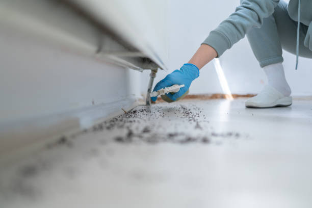 Professional Pest Control in Camden, SC