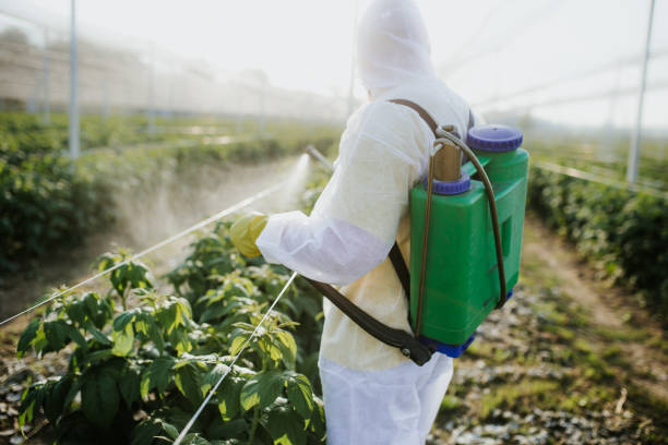 Best Local Pest Control Services  in Camden, SC